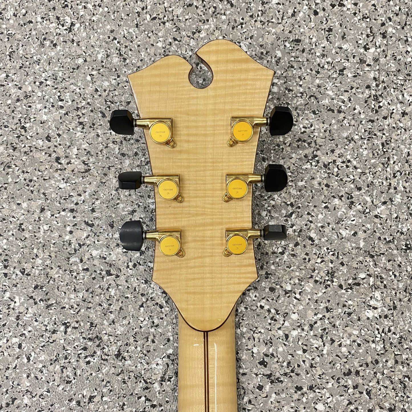 Sagitarius Jiří Navrátil Archtop Guitar E-Gitarre