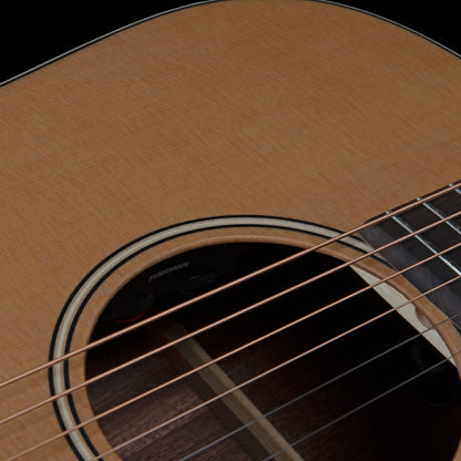 ART & LUTHERIE Americana Dreadnought Natural EQ inkl. GigBag