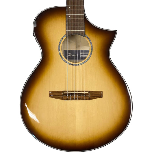 Ibanez AEW C-300 N Klassikgitarre
