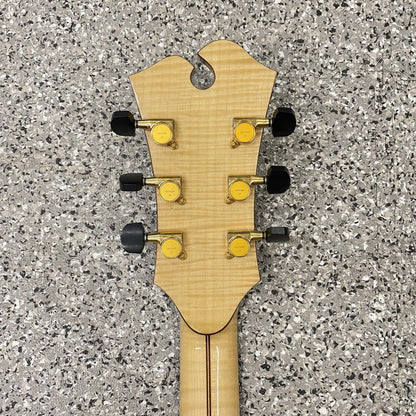 Sagitarius Jiří Navrátil Archtop Guitar E-Gitarre