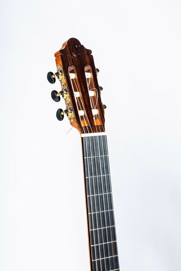 GUITARRAS CAMPS A-6 Spruce Gitarre Fichte/Palisander