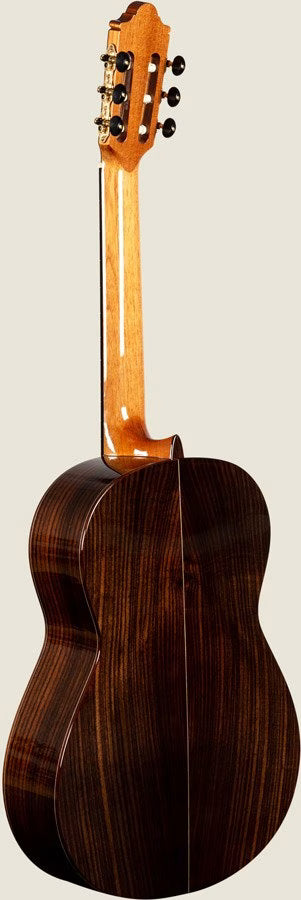 GUITARRAS CAMPS A-6 Spruce Gitarre Fichte/Palisander